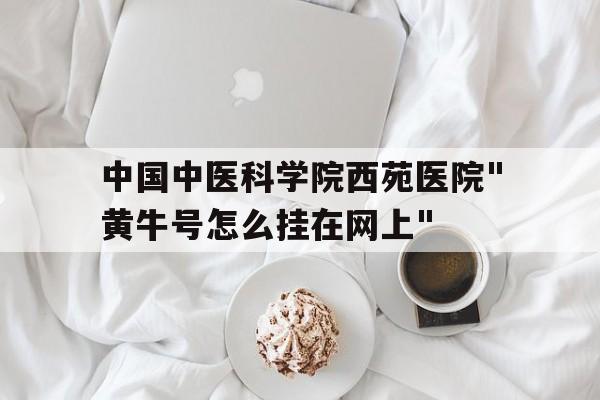 中国中医科学院西苑医院"黄牛号怎么挂在网上"的简单介绍