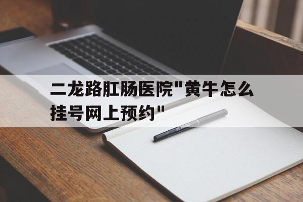 二龙路肛肠医院"黄牛怎么挂号网上预约"的简单介绍